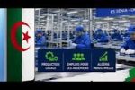 Oran, usine STI-Vivo pour un smartphone 100 % algérien