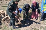 GIG Algeria Une compagnie d’assurance qui met en valeur la femme rurale algérienne