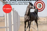 Pour la deuxième année consécutive Ooredoo Algérie partenaire officiel du Championnat Al-Asayel du Cheval Pur-sang Arabe